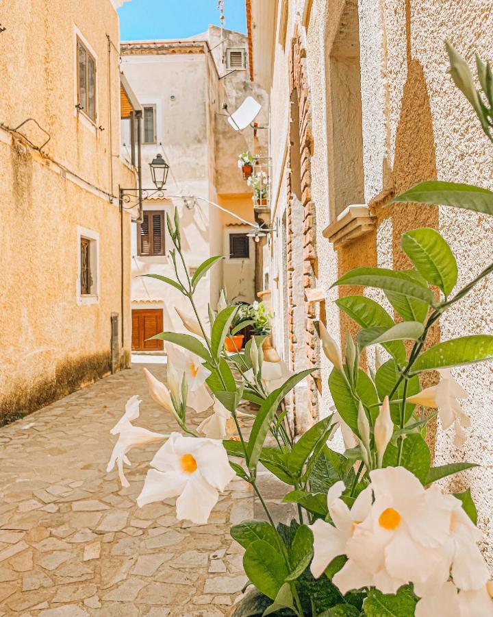 Appartamenti L'Arcella San Nicola Arcella Buitenkant foto